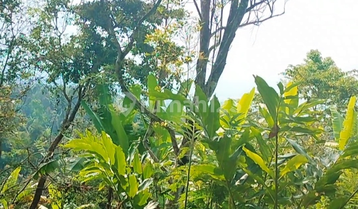 54 Are Tanah Di Selat Dekat Lovina Shm View Laut Pinggir Jalan 2