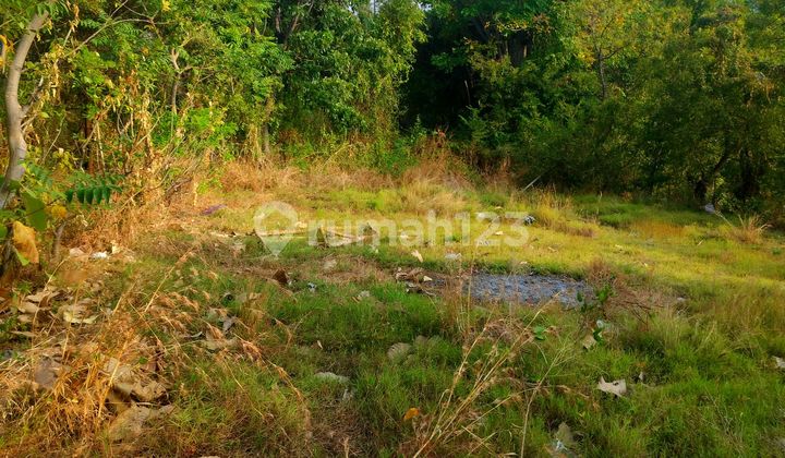 Ocean View 9are ******** Calon Bandara Kubutambhan Ocean View 9are ******** Calon Bandara Kubutambhan