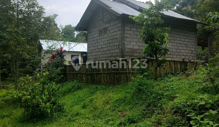 Super Murah Buctanah Kebun Asri Pedesaan Super Murah Buctanah Kebun Asri Pedesaan