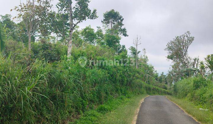 3,35 Hektar Fantastis Ocean View Desa Gobleg Buleleng Bali 1