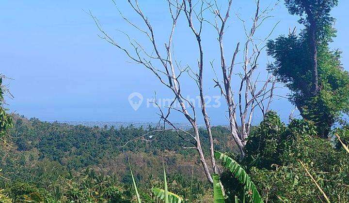 Ocean View! 1,8ha Ds Tunjung Kubutambahan Dekat Calon Bandara Baru  1