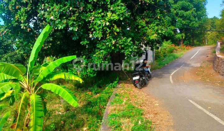 3000m² Super Ocean View Pinggir Jalan Aspal Kubutambahan Buleleng 3000m² Super Ocean View Pinggir Jalan Aspal Kubutambahan Buleleng