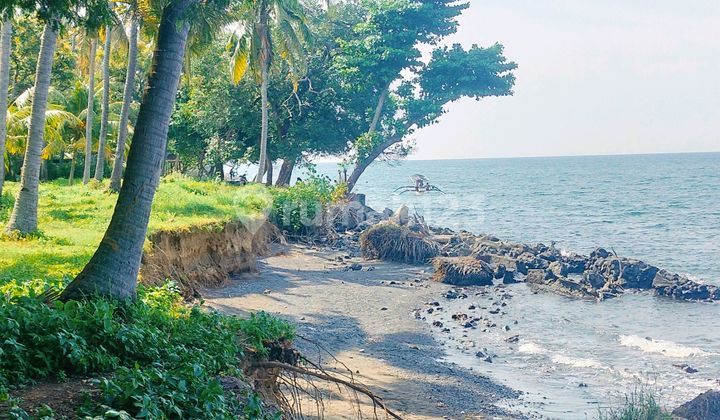 Beachfront 8600m² Pinggir Jln Propinsi Kubutambahan Buleleng Bali