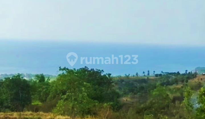 1.74 Ha Ocean View Freehold Certificate Cempaga Buleleng Bali
