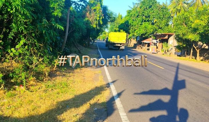 40 Are Pinggir Jalan Utama Singaraja Kubutambahan Buleleng Bali