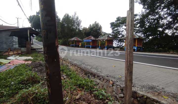 Pink Zone 4,5 Are SHM Roadside Main Road Wanagiri Buleleng Bali