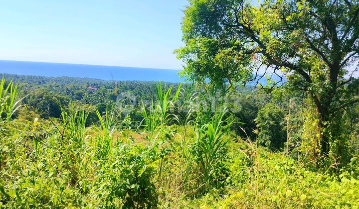 Ocean View Bukti Kubutambhan Near New Airport Ocean View Bukti Kubutambhan Near New Airport