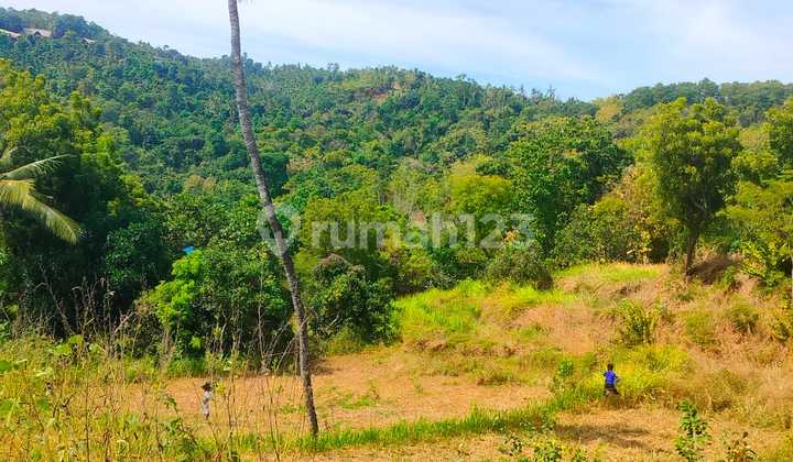 1 Hectare Sea View Land Near the Planned Kubutambahan Airport, Vehicle Access, Kubutambahan, Buleleng, Bali 1 Hectare Sea View Land Near the Planned Kubutambahan Airport, Vehicle Access, Kubutambahan, Buleleng, Bali