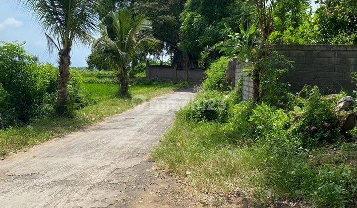 Hanya 50 Meter Ke Pantai! 10,5 Are Shm Di Sangsit Buleleng Bali  1