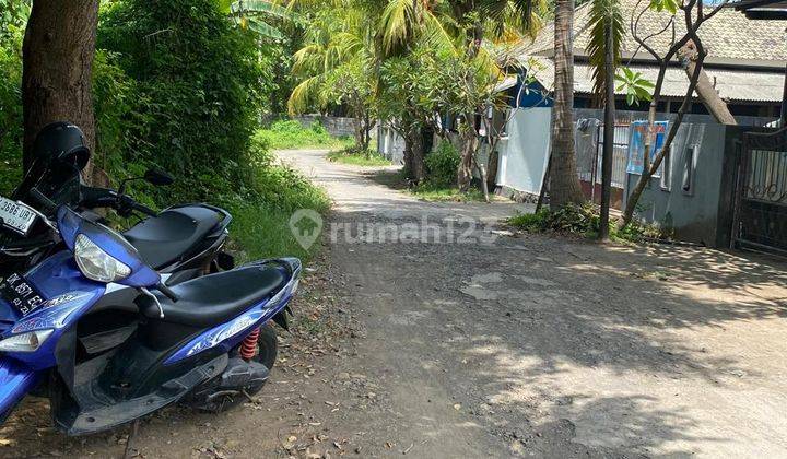 Hanya 50 Meter Ke Pantai! 10,5 Are Shm Di Sangsit Buleleng Bali  2