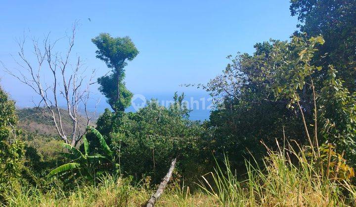 Ocean View! 1,8ha Ds Tunjung Kubutambahan Dekat Calon Bandara Baru  2