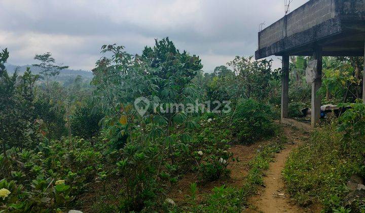 9 Hektar Tanah Istimewa Datar View Perbukitan Wisata Gobleg Wanagiri 1