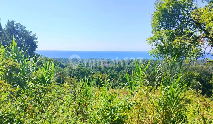 Ocean View Bukti Kubutambhan Close New Airport Ocean View Bukti Kubutambhan Close New Airport