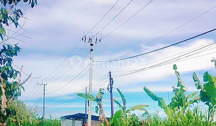 Lake View 5000m² Pinggir Jalan Munduk Tamblingan Buleleng Bali 2