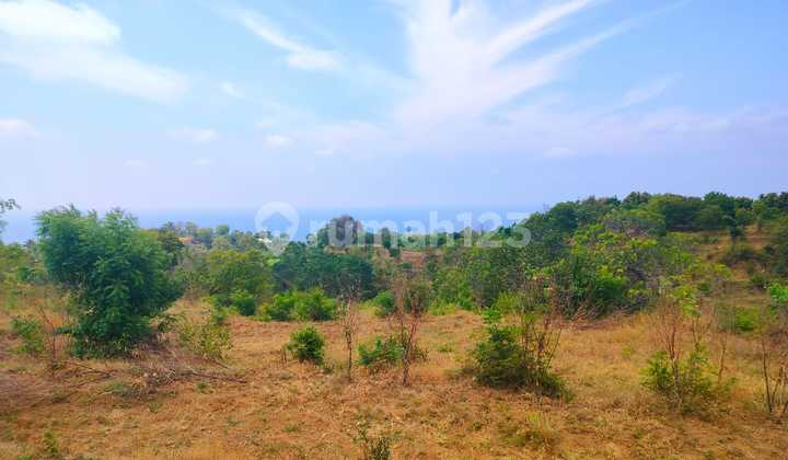 Only 25 Million! 1.65 Ha Full Ocean View Tunjung Kubutambahan Buleleng Bali For Resort