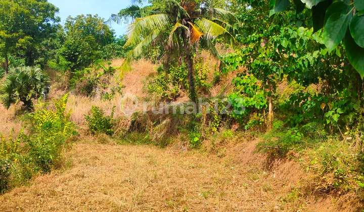 View Laut 1 Ha Dekat Calon Bandara Kubutambahan Akses Mobil Kubutambahan Buleleng Bali View Laut 1 Ha Dekat Calon Bandara Kubutambahan Akses Mobil Kubutambahan Buleleng Bali