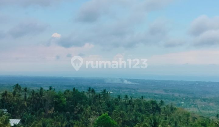 50 Are Bonus Rumah! Super Ocean View Kubutambahan Buleleng Bali 