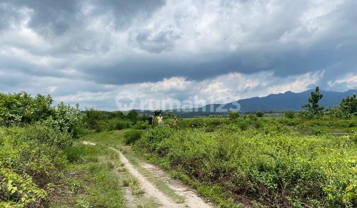 Tanah Luas SHM Jalan Raya Semarang Surabaya, Rembang Jawa Tengah
