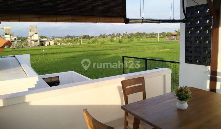 VILLA RICE FIELD VIEW DEKAT PANTAI KEDUNGU 1