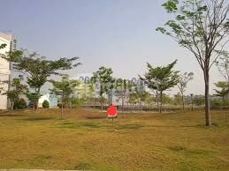 Rare south-facing lot