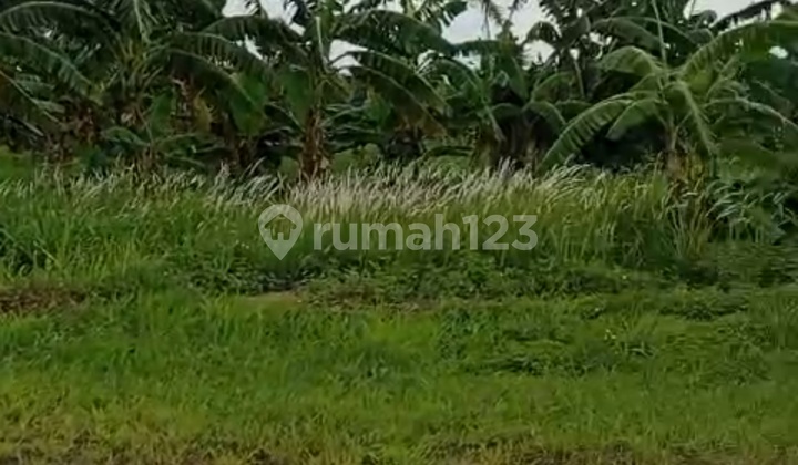 Disewakan Tanah Strategis Luas 4hektar Bisa Sewa Ambil 2000m2 