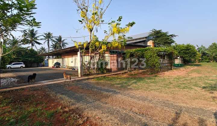 For Sale Salembaran Plots 2000 Square Meters Up to 1 Hectare For Sale Salembaran Plots 2000 Square Meters Up to 1 Hectare