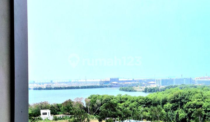 Cheap Apartment for Rent Gold Coast Pik 2