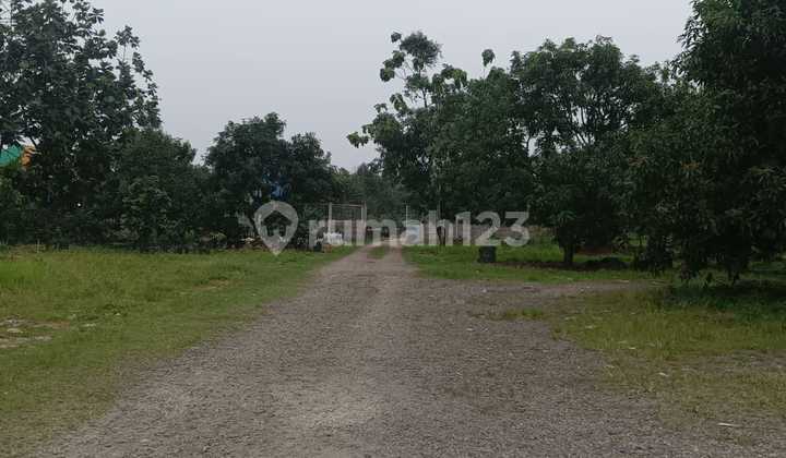 Disewakan Kavling Komersil Diserpong Luas 2500m2 