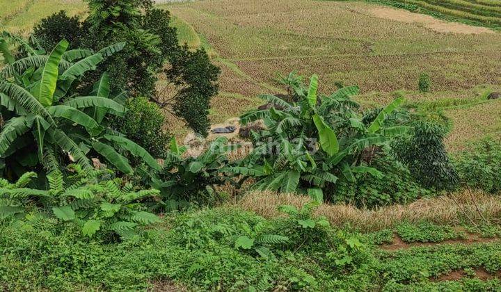 Dijual Tanah Luas di Kawasan Agrowisata Bantar Agung, Majalengk 2