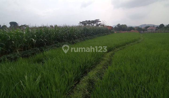 Dijual Tanah di Kawunghilir, Cigasong, Majalengka 2