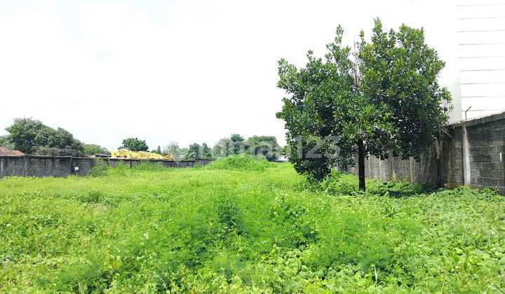 Disewakan Lahan di Cirebon