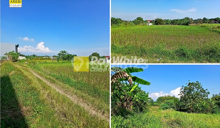 For Rent / For Sale Rice Field Land In Kedungdawa Kedawung Cirebon For Rent / For Sale Rice Field Land In Kedungdawa Kedawung Cirebon