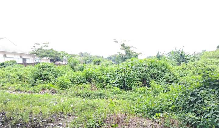 Dense Land Lease in Sumber Cirebon