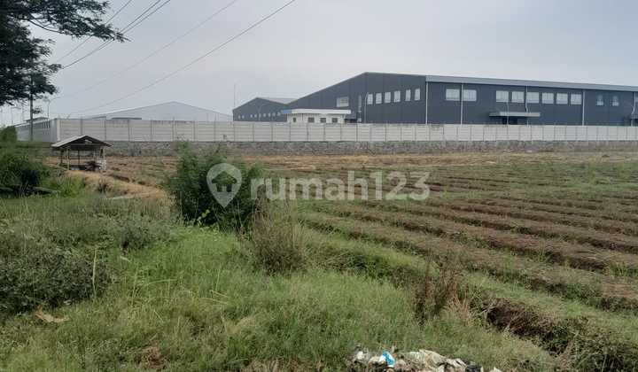 Jual Tanah Kosong Area Industri Pabedilan Cirebon