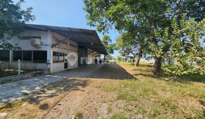 Warehouse and Land Rental in Losari Area, Cirebon