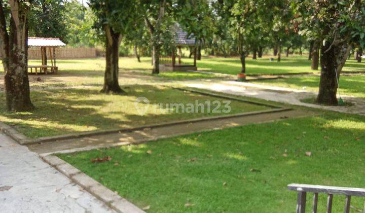 Dijual Kebun Mangga Luas di Panyingkiran, Majalengka 2