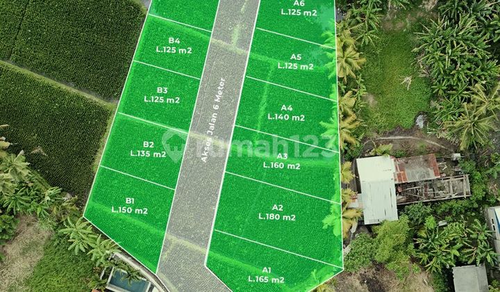 Beach Nyanyi Land Plot Beach Nyanyi Land Plot