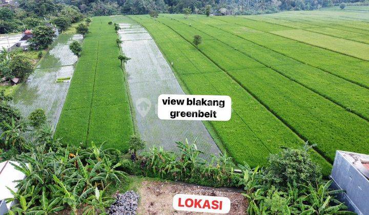 Tanah View Sawah di Kedungu, Tabanan 2