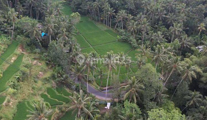 Tanah SHM Dengan View Hutan Dan Sungai di Payangan, Ubud. 2