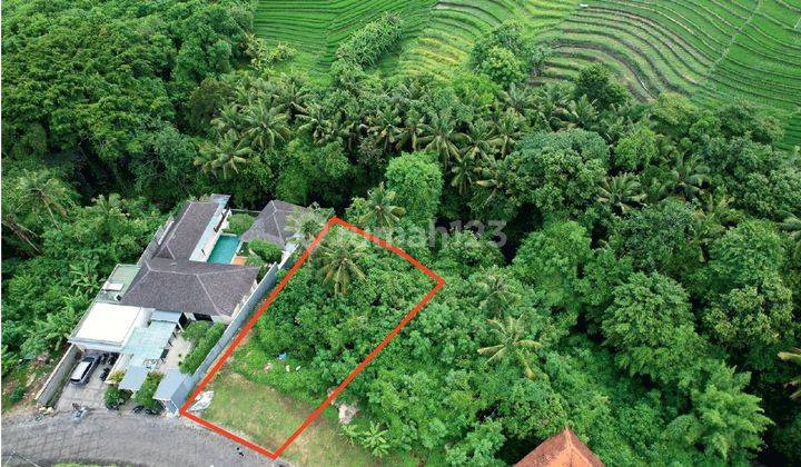 Tanah Dengan View Sawah di Greenlot, Tabanan. 1