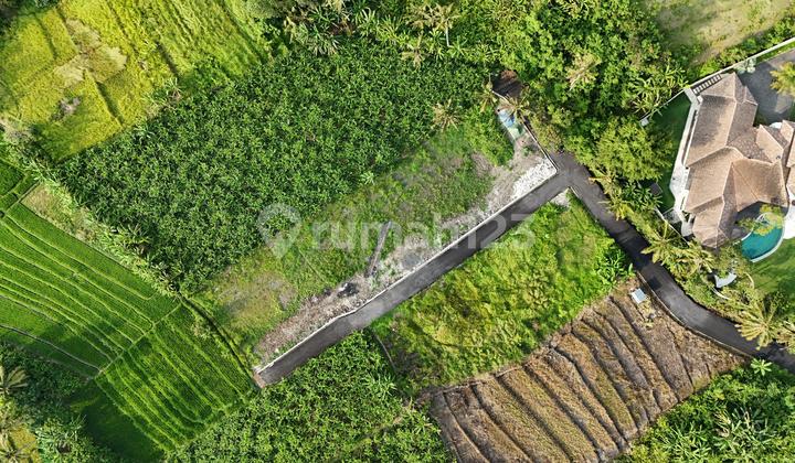 Tanah Kavling Eksklusif di Tumbak Bayuh Dekat Pererenan dan Canggu