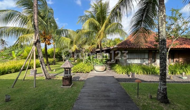 Villa 2BR Luxury Joglo with Ricefield View di Nyanyi, Tabanan 2