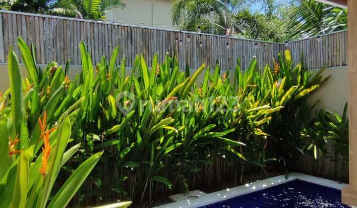 Villa 2Br Modern Tropical In Umalas
