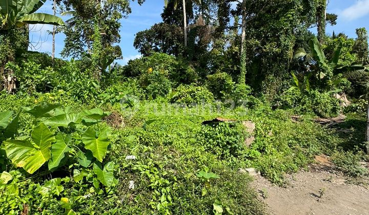 Land 1060 m2 Strategic Location in Kedewatan Ubud Hotel Area