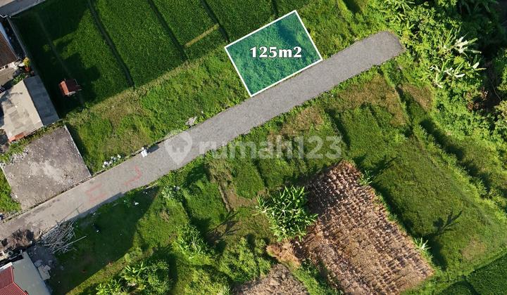 Tanah 125M2 View Sawah Kerobokan Bali Tanah 125M2 View Sawah Kerobokan Bali