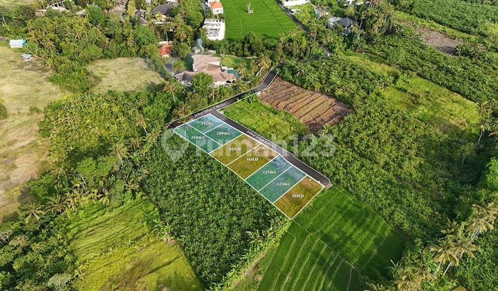 Tanah Kavling Eksklusif di Tumbak Bayuh Dekat Pererenan dan Canggu