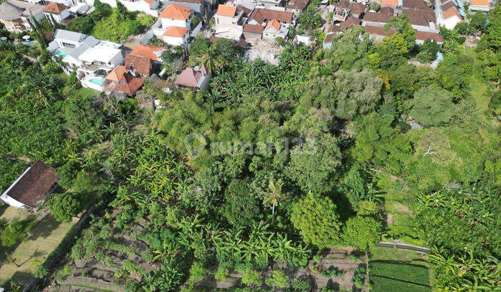 Tanah Ngantong SHM Murah di Padonan, Canggu. 2