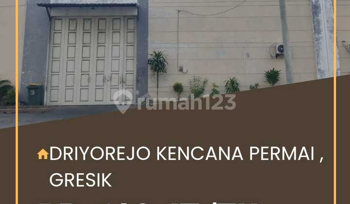 FRESH LISTING RARE WAREHOUSE FOR RENT IN DRIYOREJO KENCANA PERMAI, GRESIK! FRESH LISTING RARE WAREHOUSE FOR RENT IN DRIYOREJO KENCANA PERMAI, GRESIK!