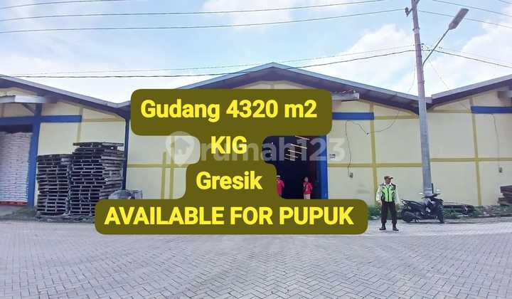 Solusi Gudang Logistik untuk Pupuk Anda!! Warehouse Kig Gresik Dekat Jiipe International Port
