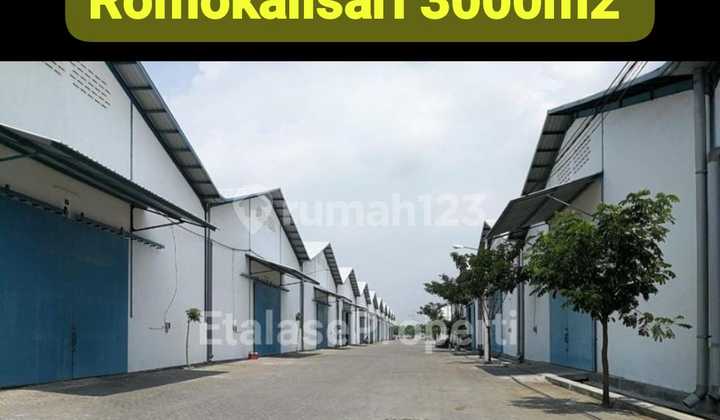 Disewakan 3 Unit Jejer Gudang di Romokalisari (Belakang Bumi Maspion) Loss Tanpa Sekat Disewakan 3 Unit Jejer Gudang di Romokalisari (Belakang Bumi Maspion) Loss Tanpa Sekat
